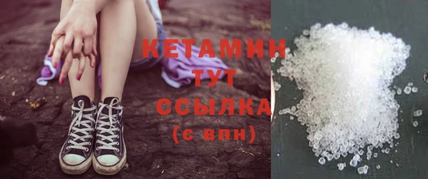 хмурый Верея