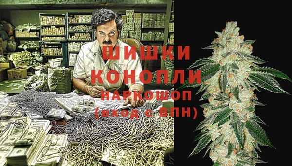 хмурый Верея