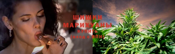 хмурый Верея