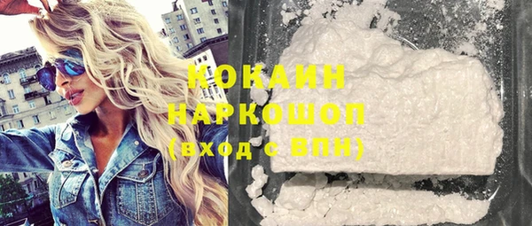 хмурый Верея