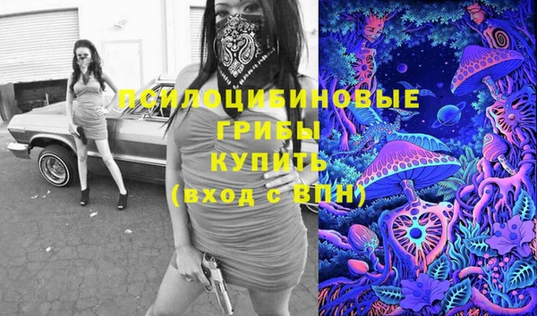 хмурый Верея