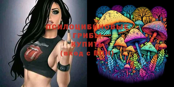 хмурый Верея