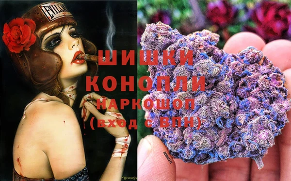 хмурый Верея