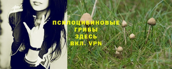 хмурый Верея