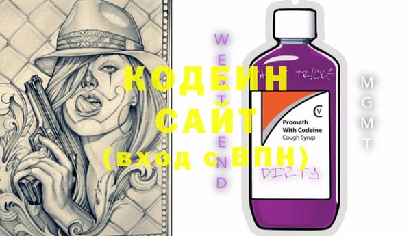 хмурый Верея