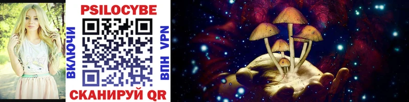 omg   Чебоксары  Псилоцибиновые грибы GOLDEN TEACHER 